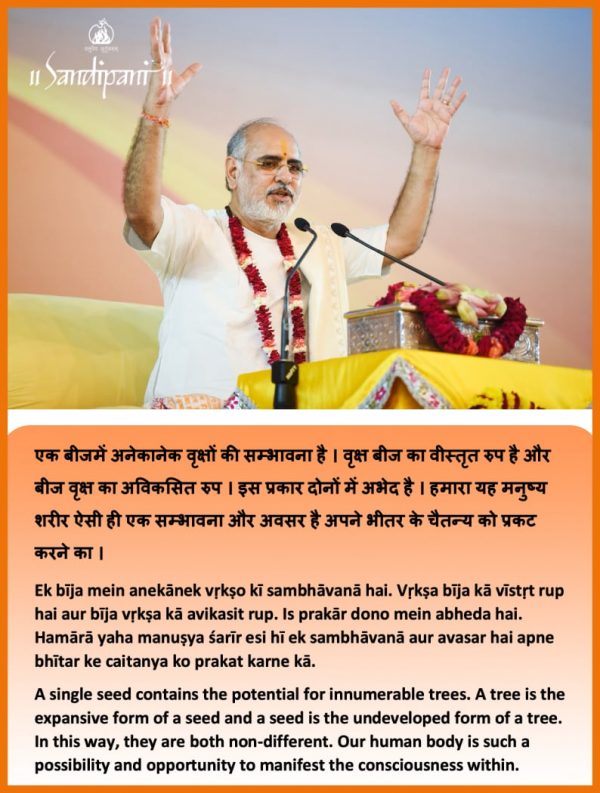 Weekly Sutra: The potential of a human body